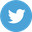 icon twitter